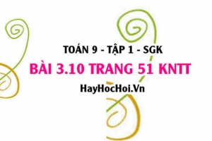Bài 3.10 trang 51 Toán 9 tập 1 Kết nối tri thức